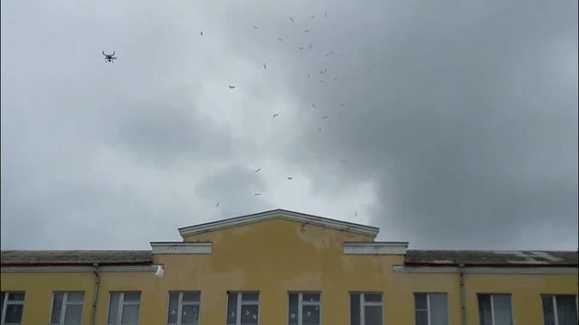 Последний Звонок. Выпускники 2017. СОШ №2. Шары в Небо. Моздок смотреть онлайн