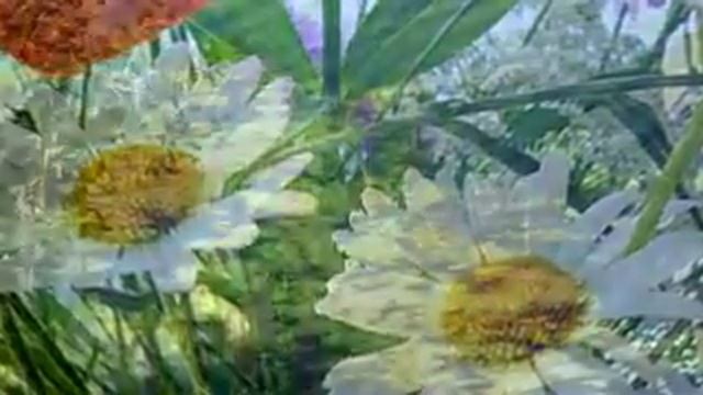 "Ен югыд ывлаöй "коми песня смотреть онлайн