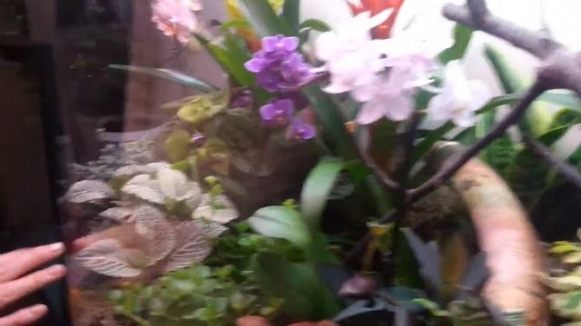 В станции юных натуралистов открылся новый кабинет/ www.krasnoturinsk.info смотреть онлайн