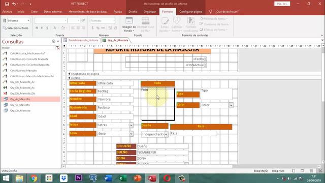 Vet Project 2 048 AJ20 MM Reporte Individual Historia смотреть онлайн