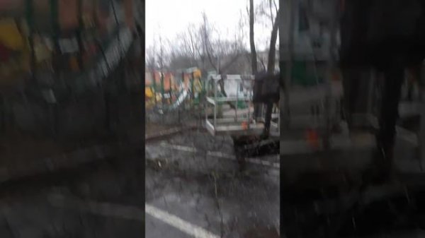 Два соседа ругается за деревьями