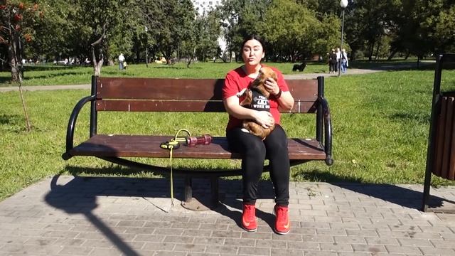 ТРЕШ, ХУДЕЕМ БЫСТРО И ВЕСЕЛО смотреть онлайн