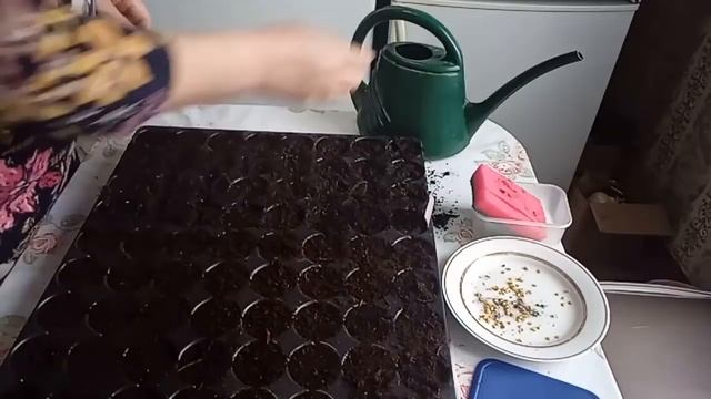 Перцы посадила//Достала солонину/\ смотреть онлайн