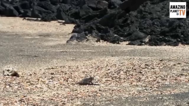 Дорога Смерти. Кому Удастся Её Пройти Живым ... смотреть онлайн