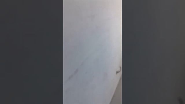 Первый мой видеоролик ремонт Квартира никакие специнструмента смотреть онлайн