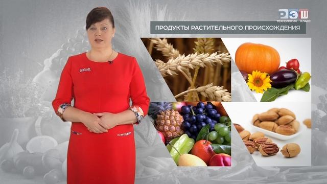 Организация рационального питания и пищевые продукты смотреть онлайн