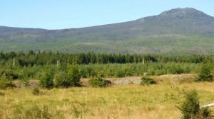 Гора Кумба п. Баяновка Свердловская область