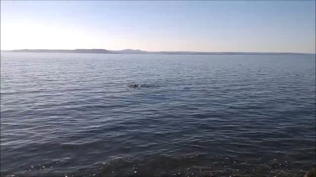 Осенний пляж Моргородка . Владивосток смотреть онлайн