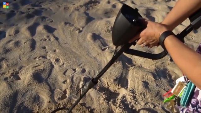 Top 8: Best Best Metal Detector Of 2019 / 8 Best Metal Detector To Buy In Amazon For Gold Diggers