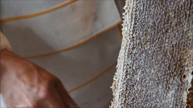 КАК СОБИРАЮТ МЕД НА ПАСЕКЕ ДОБРОГО ПАСЕЧНИКА? смотреть онлайн