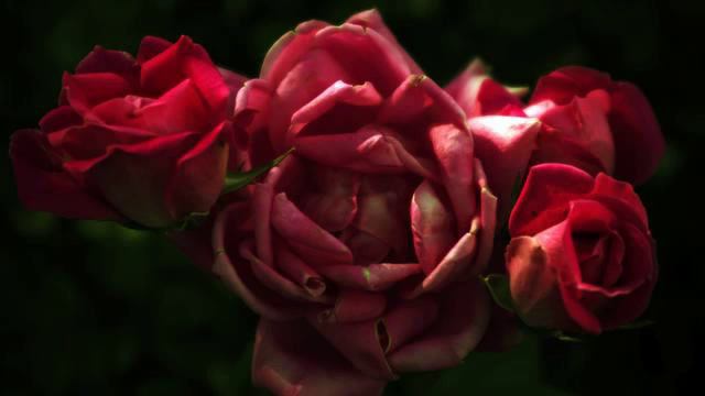 Море хороших русских новинок в машину онлайн смотреть онлайн