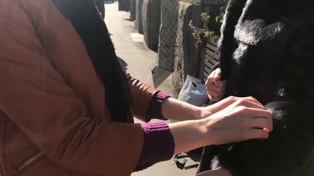 Экошубы-трансформеры от Anse (Street style) смотреть онлайн