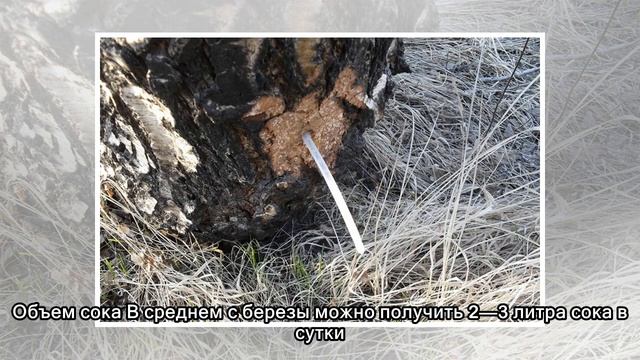 Учебник по Развитию Инноваций