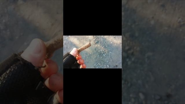 Собираю чермет вдоль трассы