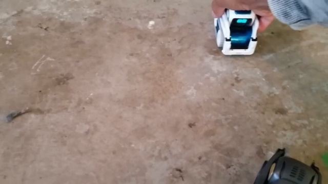 Cozmo, Meet Vector, Your New Robot Brother From Anki