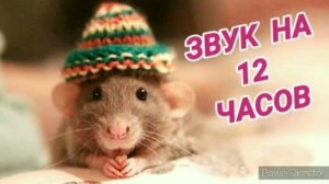 Ответ шумным соседям от грызунов