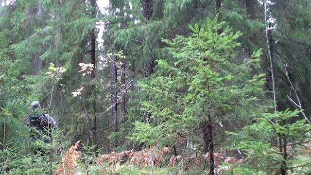 Рябчик на манок. Мастер-класс смотреть онлайн