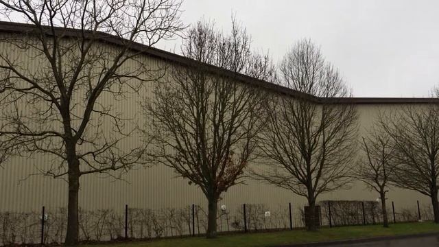 Sessile oak (Quercus petraea) - tree - March 2018 смотреть онлайн