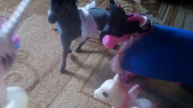 сощвездие отрезка: лицо.клип.оцените от 1 до 10 смотреть онлайн