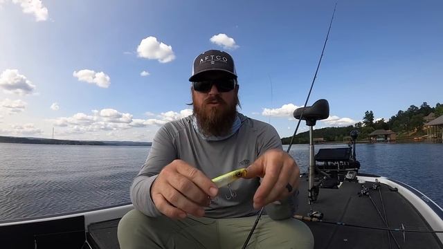 Topwater, Flukes, and Underspins For Aggressive Fall Bass! смотреть онлайн