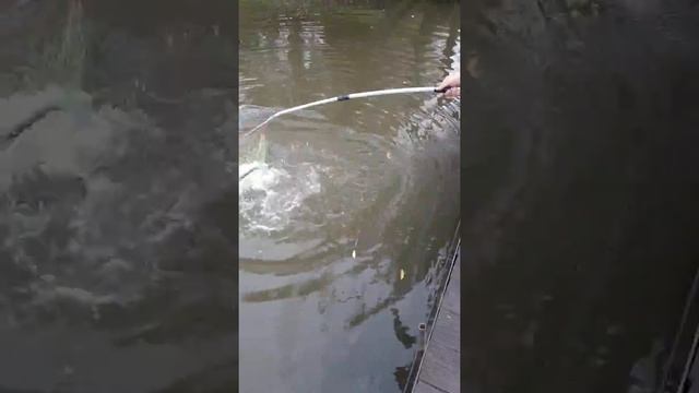 КРХ" ВИДНАЯ РЫБАЛКА" смотреть онлайн