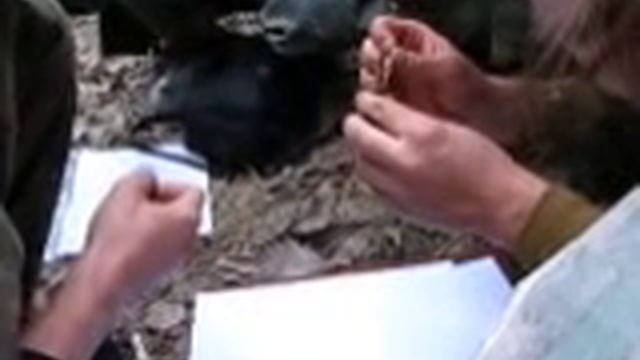 Письмо из прошлого - Вскрытие солдатского медальона смотреть онлайн