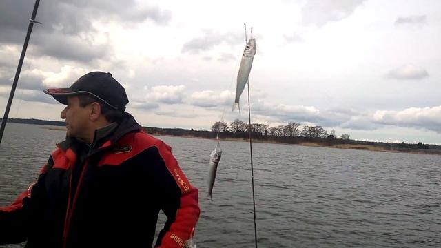 Ловля салаки на Аландах апрель 2016 г. смотреть онлайн