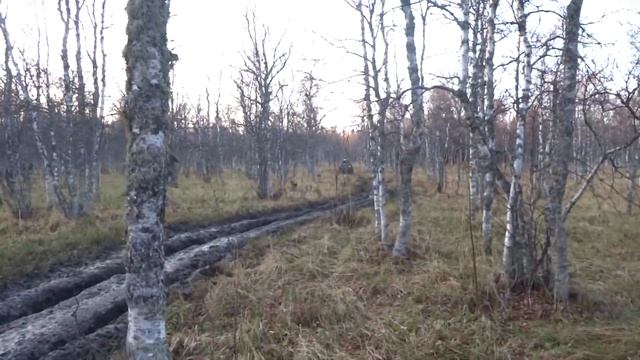 Белорецк. Золотая Осень 2014 г. Проход болота. смотреть онлайн