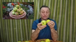 Сорт яблони Ренет Крюднера и другие.