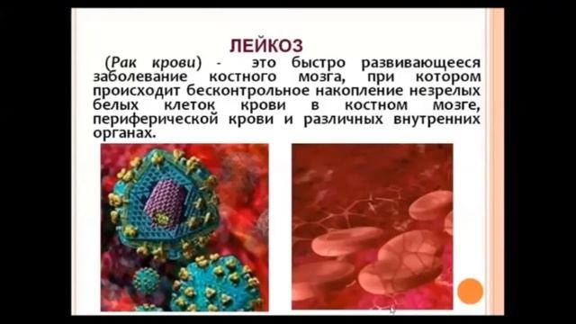 Био_Видеоурок_Деловая игра "Кровь"_6_Савельева Ксения смотреть онлайн