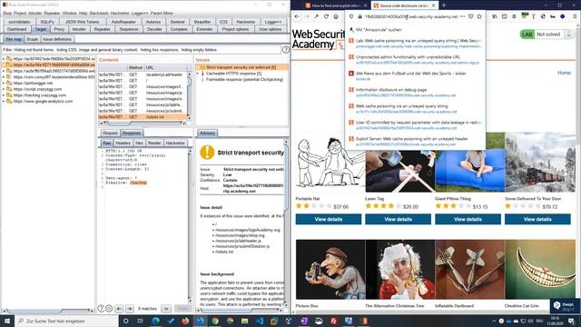 Source code disclosure via backup files (Video solution) смотреть онлайн