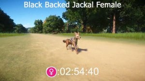 NEW Species Animal Races in Planet Zoo included Asiatic Lion, Black Backed Jackal, Triceratops, Bea
