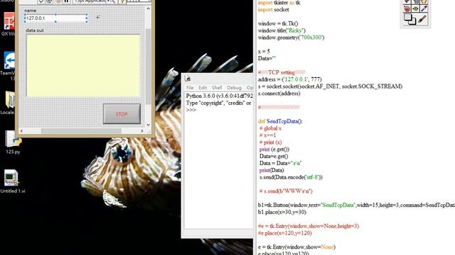 40. LabVIEW link Python by TCPIP _ 2 смотреть онлайн