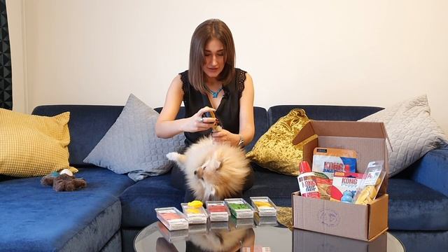 Ботинки для собак. Обзор ботинок PAWZ. Впервые собака в ботинках смотреть онлайн