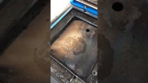 Зота карбон реальный отзыв