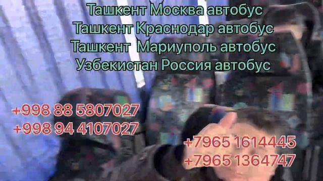 Ташкент Новосибирск автобус Новосибирск Ташкент автобус Узбекистан Россия автобус Россия Узбекистан смотреть онлайн