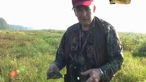 Охота с Бретонским Эпаньолем часть 1