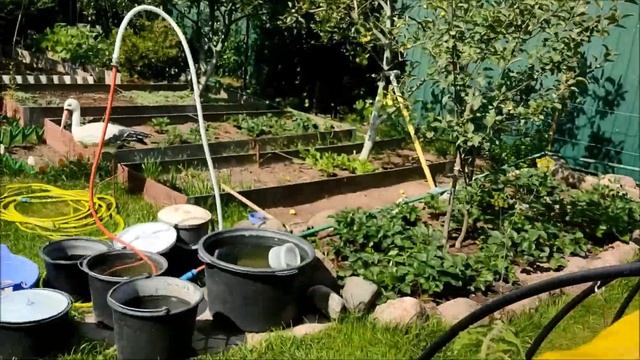 Рассада томатов засохла. Не выбросил - пожалел. Вяленые помидоры, первый опыт приготовления. смотреть онлайн