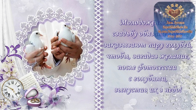 Голуби на свадьбу на заказ. - Москва, ближайшее Подмосковье! смотреть онлайн