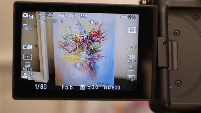 Sony A7 IV - Card Slot Issue. смотреть онлайн