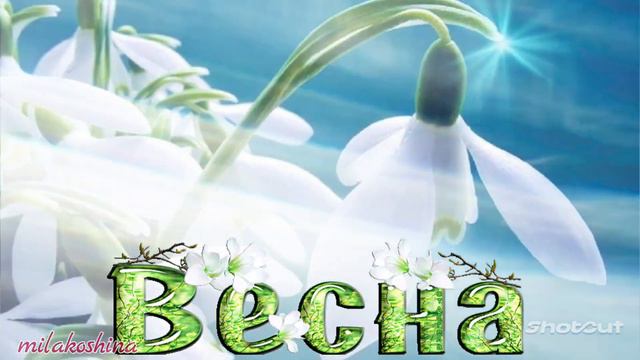 Алина Шелег - Дорогое сердечку имя....♥️ смотреть онлайн