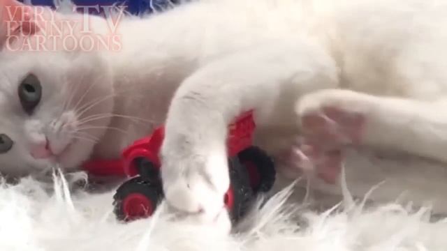 вспыш и чудо-машинки смотреть онлайн без остановки в хорошем качестве смотреть онлайн