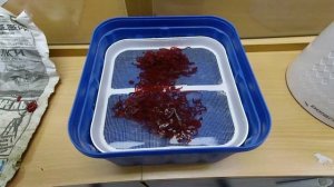 Сито для пробивки мотыля.Будьте внимательны при выборе сита.