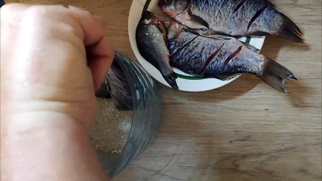 ОПАРЫШ ДЛЯ РЫБАЛКИ И ПРИКОРМКИ ЗА 5 ДНЕЙ. ВЫРАЩИВАНИЕ ОПАРЫША В ДОМАШНИХ УСЛОВИЯХ.