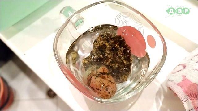 Эти ошибки встречаю в каждом аквариуме новичка! смотреть онлайн