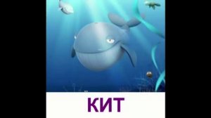 Животные для детей. "Морские жители" - Презентация для детей.