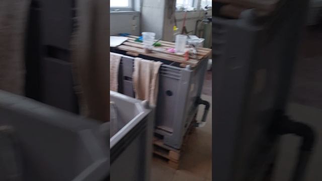 Размножение осетров. Кормление личинки | Akva Ferma смотреть онлайн