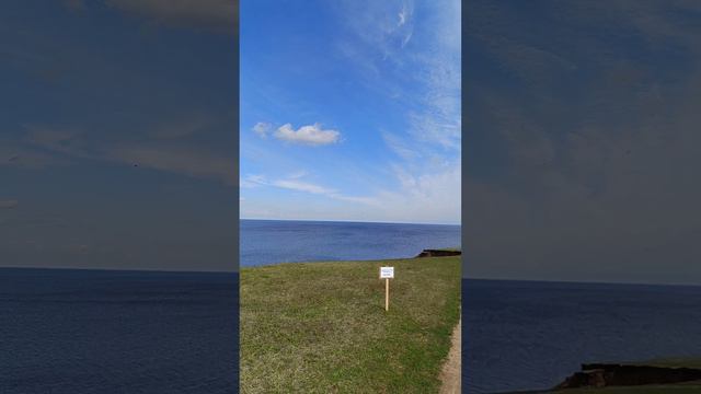 Озеро Ильмень, обвал берега. Апрель 2024 год