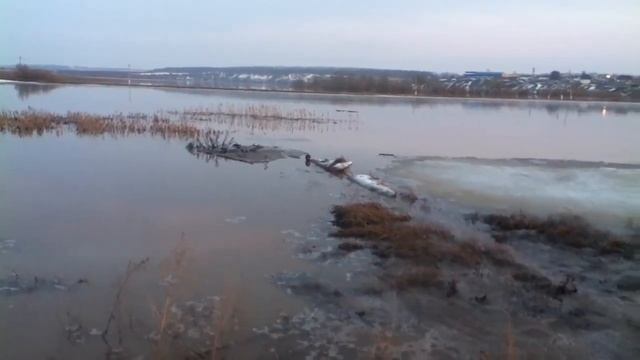 Russian Animal Series "Ондатра и весна" смотреть онлайн