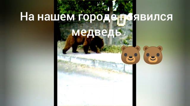 В городе медведь 😃😃 **все это произошло вчера** смотреть онлайн